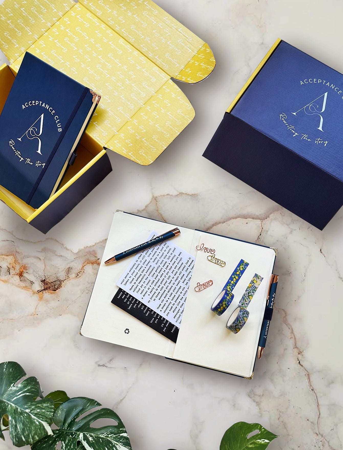 acceptance club journal box set